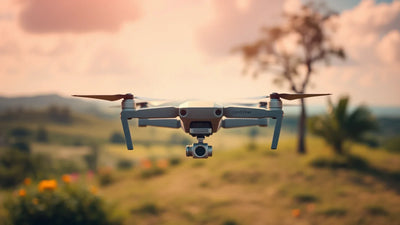 Israel wildlife filming brief with site, habitat, people, exact DJI kit and current-review evidence