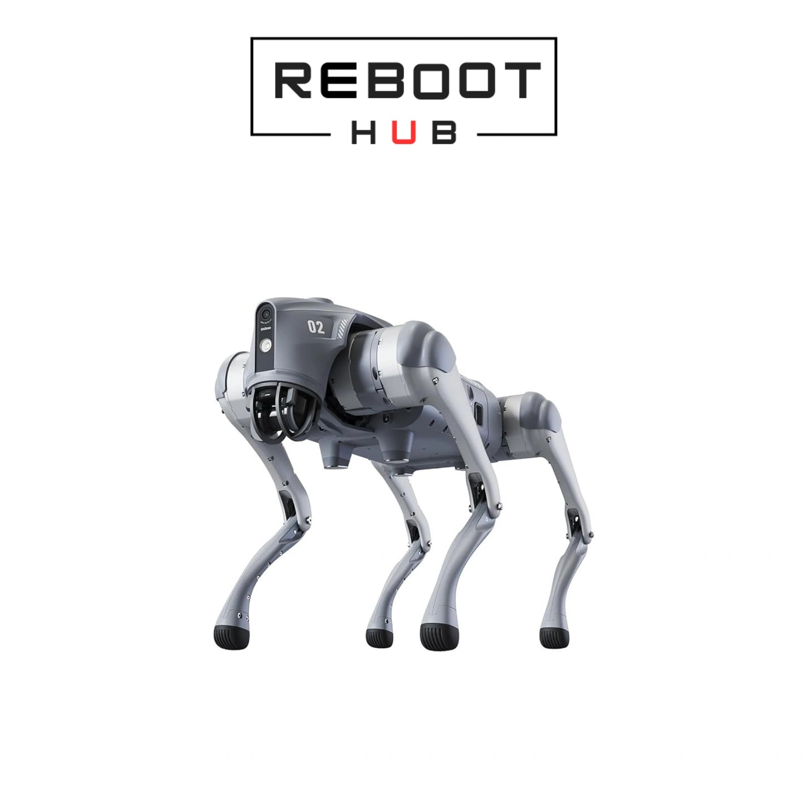 Certified Refurbished Unitree Go 2 - agile quadruped robot in black with dynamic movement capabilities and advanced sensors