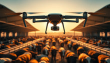 How DJI Drones Count $4,000 Cattle with 99.997% Accuracy