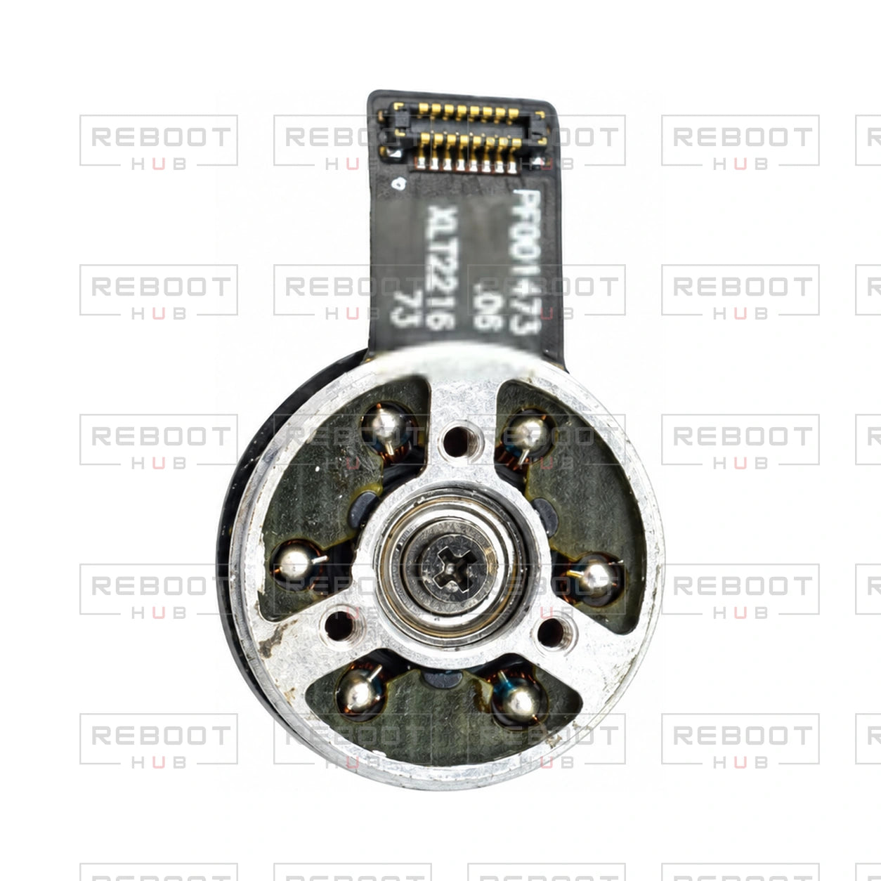 OEM-pulled DJI Mini 4 Pro Gimbal Pitch Motor on white with Reboot Hub watermark overlay